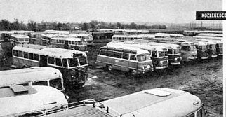 Ikarusz31, 60, 55 és egy ROBUR busz a szekszárdi bontóban